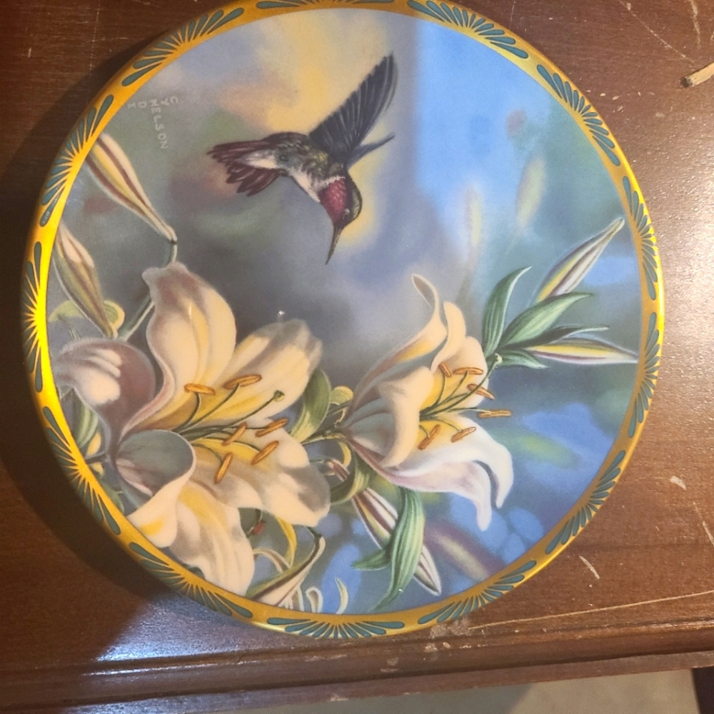 Pickard- Ruby throated hummingbird  and Lillys by Cindi Nelson